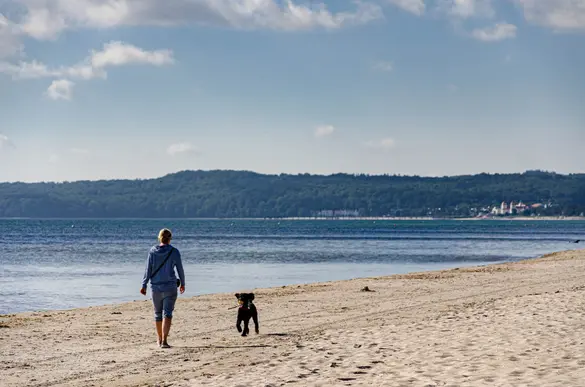 Urlaub mit Hund in Prora auf der Insel Rügen